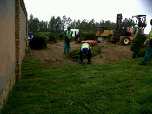 Grass sodding in Gauteng