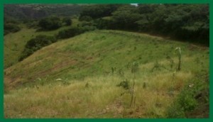 Aquamulch successfully rehabilitates through HYDROSEEDING